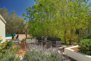 A garden outside Casa Peters