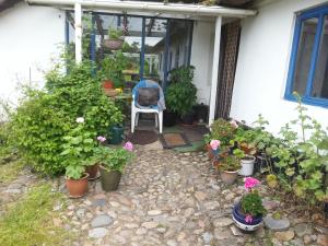 a patio with a bunch of potted plants and a chair at Ingridsboplads in Vildbjerg