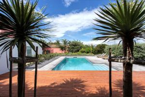 two palm trees in front of a swimming pool at Quinta dos Peixes Falantes in Ribeira Grande