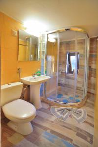 a bathroom with a shower and a toilet and a sink at Balcony Rooms in Elafonisi