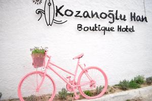 Ποδηλασία στο Kozanoğluhan butik otel ή στη γύρω περιοχή