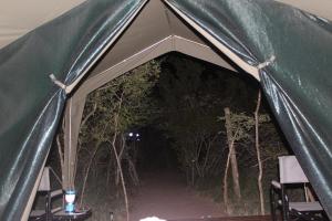 Fotografie z fotogalerie ubytování Mzsingitana Tented Camp v destinaci Hoedspruit