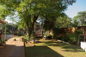 Jardin de l'établissement Duplex Macuco
