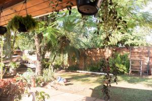 Jardin de l'établissement Duplex Macuco