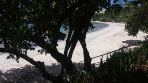 Φωτογραφία από το άλμπουμ του B&B Plage Des Raisiniers σε La Trinite