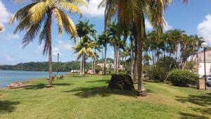 a park with palm trees and a body of water at B&B Plage Des Raisiniers in La Trinit&eacute;