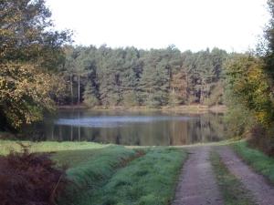 a dirt road next to a lake with trees at Loveroom Lovegite Le Cocon Enchanteur in Plélan-le-Grand