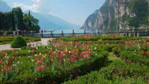 un giardino di fiori con vista sull'acqua di Appartamento Angi - lago & vacanza attiva a Riva del Garda