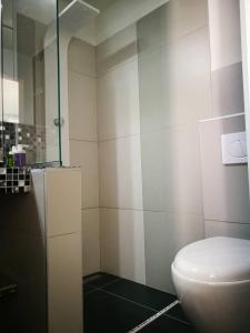 a bathroom with a toilet and a shower at cres art studio lime apartment in Cres +19 photos