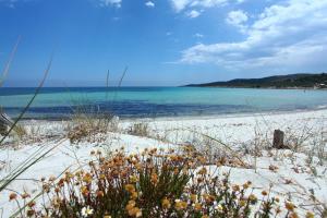 a sandy beach with a view of the ocean at Maestrale Flat - Klodge in Olbia
