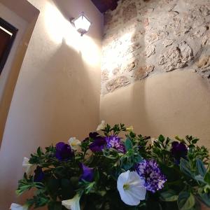 un vase rempli de fleurs violettes et blanches à côté d'un mur dans l'établissement Tato home, à Alatri