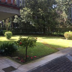 un jardin avec un petit arbre dans la pelouse dans l'établissement confort home, à Viareggio