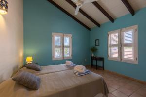 1 dormitorio con 2 camas, paredes y ventanas azules en Blachi Koko Apartments en Kralendijk