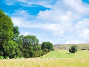 Natural landscape near the vacation home 