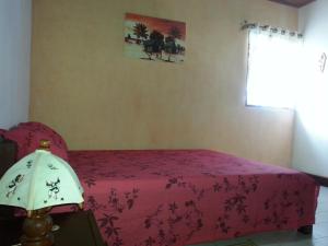 Un dormitorio con una cama rosa y una lámpara en Villa Alexandra en Isla Santa María