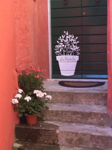 Gallery image of La Nipitella in Monte Marcello +7 photos