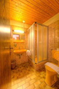 a bathroom with a shower and a sink and a toilet at Burgenländerhof Hotel Garni in Mörbisch am See