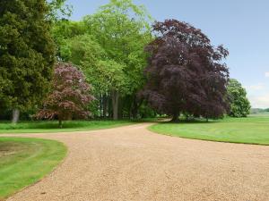 Golf facilities at the vacation home or nearby 