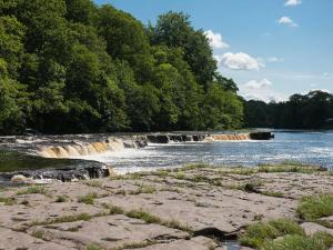 A beach at or near the vacation home 