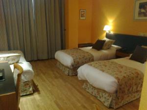 una habitación de hotel con 2 camas en una habitación en Aeropuerto Madrid Torre Hogar Premium, en Torrejón de Ardoz