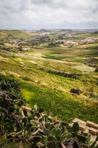 Peisaj natural din apropierea acestei pensiuni