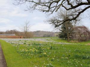 Natural landscape near the vacation home 