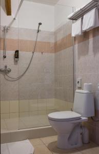 Koupelna v ubytování Hotel Selsky Dvur