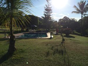 a palm tree and a swimming pool in a park at Finca La Ranchera No. 1 in Tarso