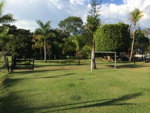 a soccer field with palm trees and a goal at Finca La Ranchera No. 1 in Tarso