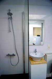 y baño con ducha, lavabo y espejo. en All Inn Holiday Home en Ghent