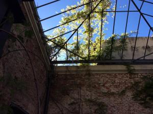 ein Fenster in einem Backsteingebäude mit einem Baum in der Unterkunft Las Glicinas Boutique Apartments in Colonia del Sacramento