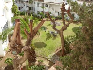 una vista aérea de un jardín con una palmera en Apartamentos Pueblo Quinta, en Benalmádena