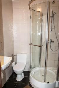 La salle de bains est pourvue de toilettes, d'une douche et d'un lavabo. dans l'établissement Pałacyk w Pakości Hotel, à Pakość