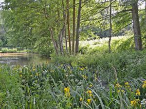 Natural landscape near the vacation home 