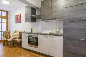 Kuchyň nebo kuchyňský kout v ubytování Accommodation Mamut