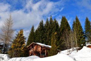 Afbeelding uit fotogalerij van Chalet Orlando in Les Gets