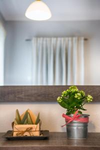 a table with a plate of food and a plant at Galazio Limani - Rooms to let in Moúdhros