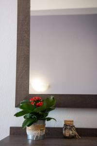 a plant sitting on a shelf under a mirror at Galazio Limani - Rooms to let in Moúdhros