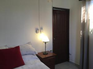 een slaapkamer met een bed en een lamp op een nachtkastje bij Estudio coquero en zona Residencial in Santo Domingo