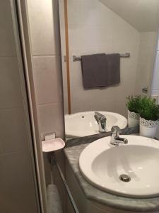 een badkamer met een wastafel en een spiegel bij Apartmentshaus Elbblick Zimmer "Bergblick" in Bad Schandau