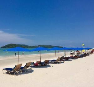 a row of chairs and blue umbrellas on a beach at Melati Tanjong Beach Resort in Pantai Cenang
