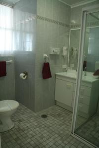 a bathroom with a toilet and a sink and a shower at Colonial Court Motor Inn in Kempsey