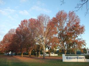 Colonial Court Motor Inn Kempsey (updated prices 2025) Colonial Court Motor Inn Kempsey (updated prices 2025)