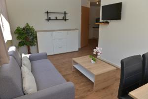 TV a/nebo společenská místnost v ubytování Ferienhaus Kolbnitz