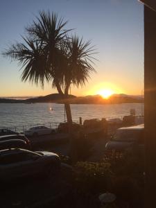 a palm tree in a parking lot with a sunset at Glenburnie House in Oban