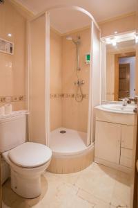 ein Bad mit einem WC, einer Dusche und einem Waschbecken in der Unterkunft Apartamentos Abula in Avila