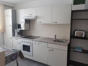Dapur atau dapur kecil di Apart Birgit