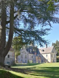 a large white house with a tree in the foreground at Château de Crocq - Chambres d'Hôtes de Charme in Crocq