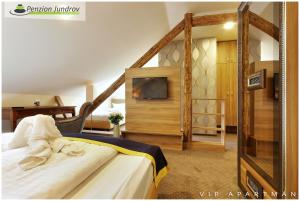um quarto de hotel com uma cama e uma televisão em Penzion Vanessa em Brno