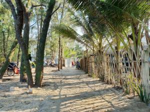 Zahrada ubytování An Bang Beach Villa